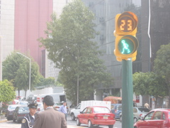 Metrobús.5 - Insurgentes