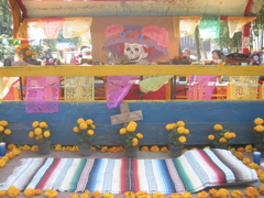 Día de muertos.11 - Sullivan