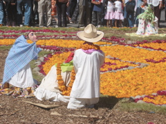 Día de muertos.85 - Zócalo