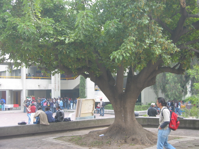 Acatlán - 02.Centre de Langues