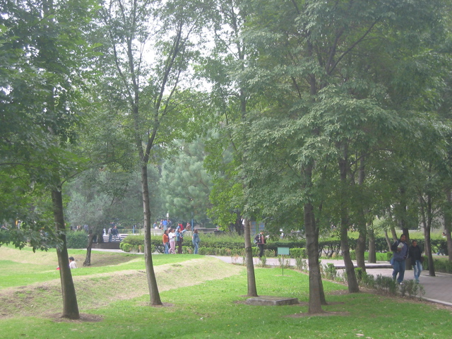 Acatlán - 15