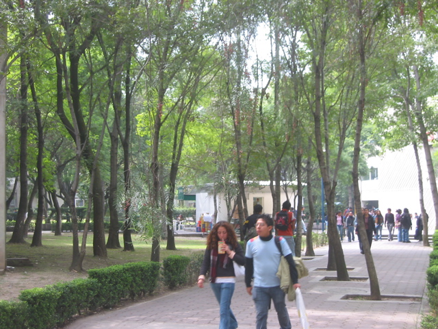 Acatlán - 16