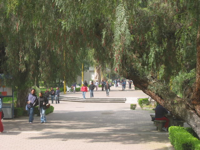 Acatlán - 17