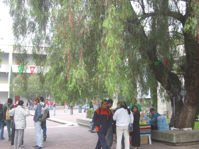 Acatlán - 03.Centre de Langues