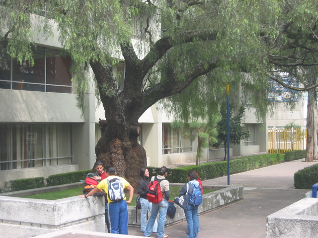 Acatlán - 05.Centre de Langues