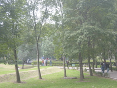 Acatlán - 15