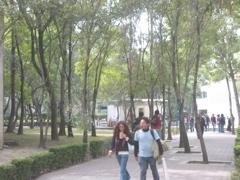 Acatlán - 16