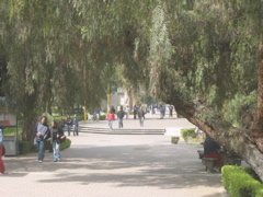Acatlán - 17