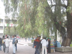 Acatlán - 03.Centre de Langues
