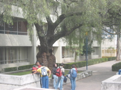 Acatlán - 05.Centre de Langues