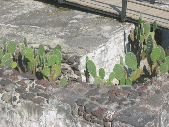 Centro.15 - Templo Mayor