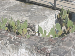 Centro.15 - Templo Mayor