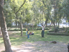 Centro.04 - Parque de l'Alameda