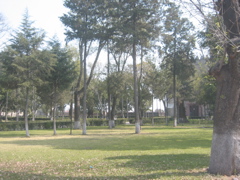 Convento - Huejotzingo - 02