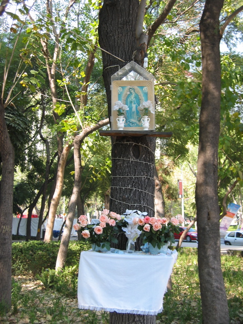 Paseo de la Reforma - 20