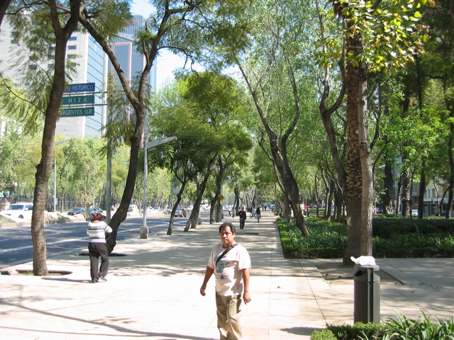 Paseo de la Reforma - 34