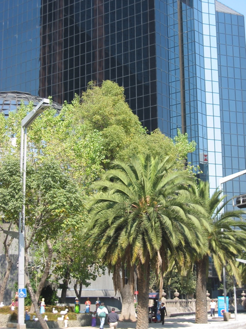 Paseo de la Reforma - 37