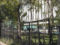 Paseo de la Reforma - 15