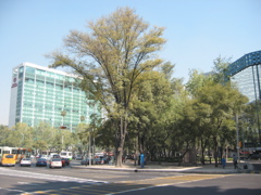Paseo de la Reforma - 19