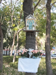 Paseo de la Reforma - 20