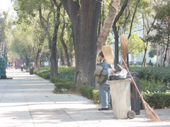 Paseo de la Reforma - 27