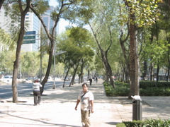 Paseo de la Reforma - 34