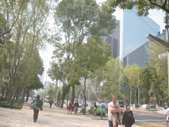 Paseo de la Reforma - 05