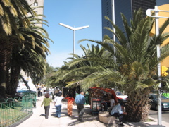 Paseo de la Reforma - 52