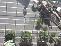 Paseo de la Reforma - 54