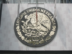 Paseo de la Reforma - 09