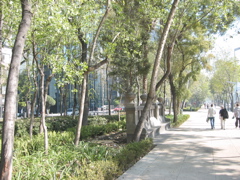 Paseo de la Reforma - 10