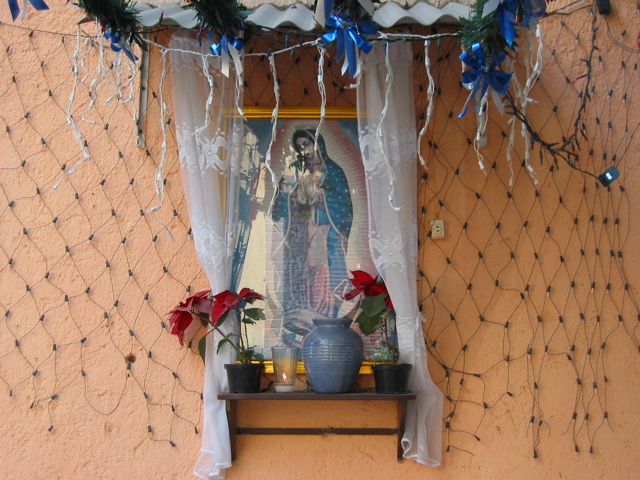 Guadalupe.01