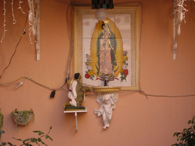 Guadalupe.02