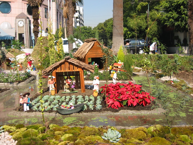 Navidad.10 - Reforma