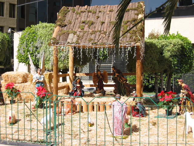 Navidad.19 - Reforma