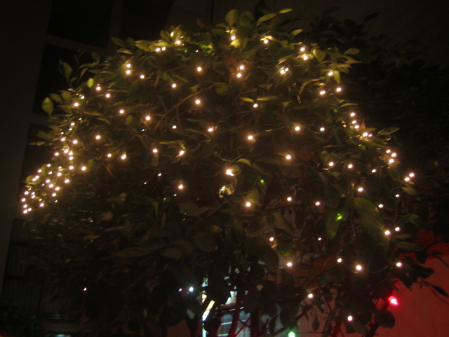 Navidad.24 - Altamirano