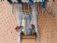 Guadalupe.01