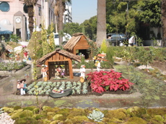 Navidad.10 - Reforma