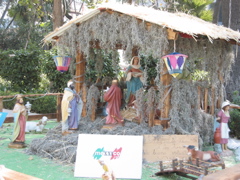 Navidad.14 - Reforma