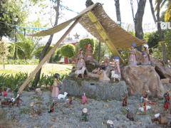 Navidad.16 - Reforma
