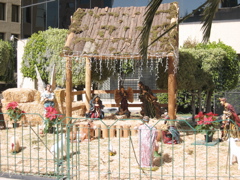 Navidad.19 - Reforma