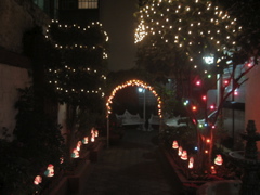 Navidad.23 - Altamirano
