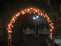 Navidad.25 - Altamirano