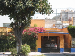 Colores - 20