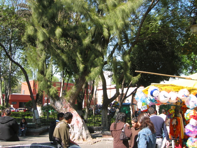 Coyoacán - 12