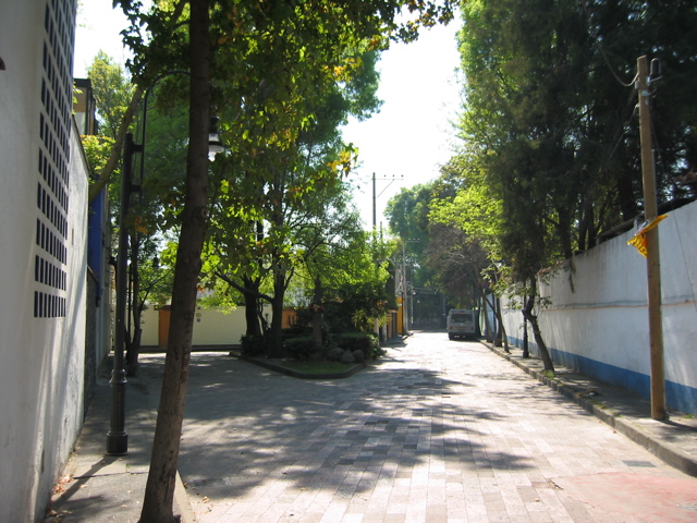 Coyoacán - 25
