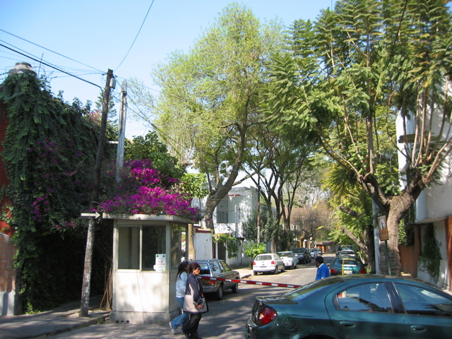 Coyoacán - 27