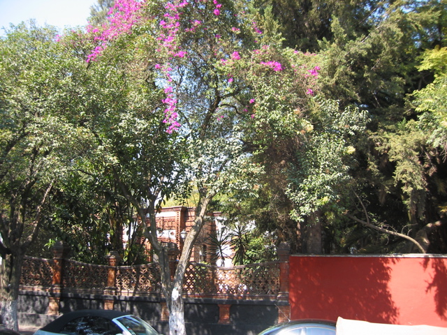 Coyoacán - 28