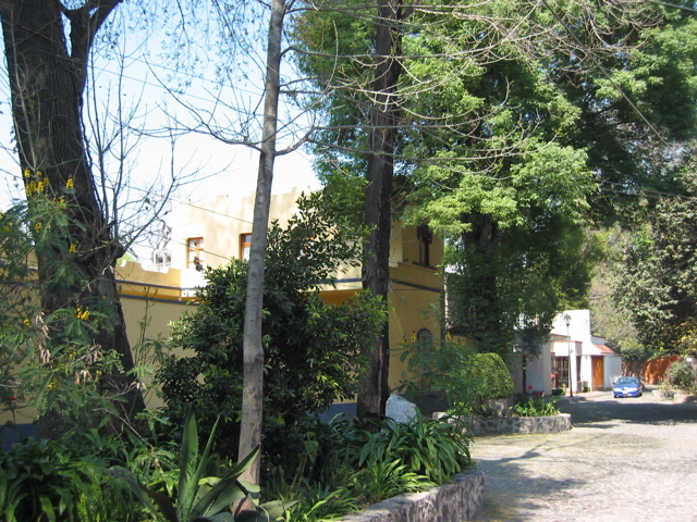 Coyoacán - 09
