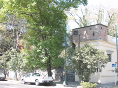 Coyoacán - 01